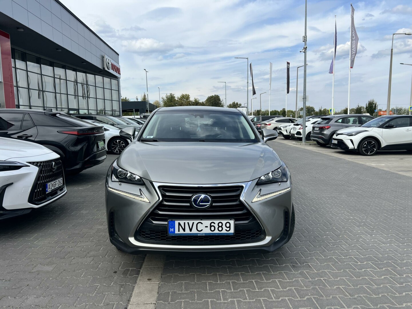 Lexus NX